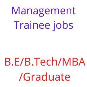 Management trainee jobs